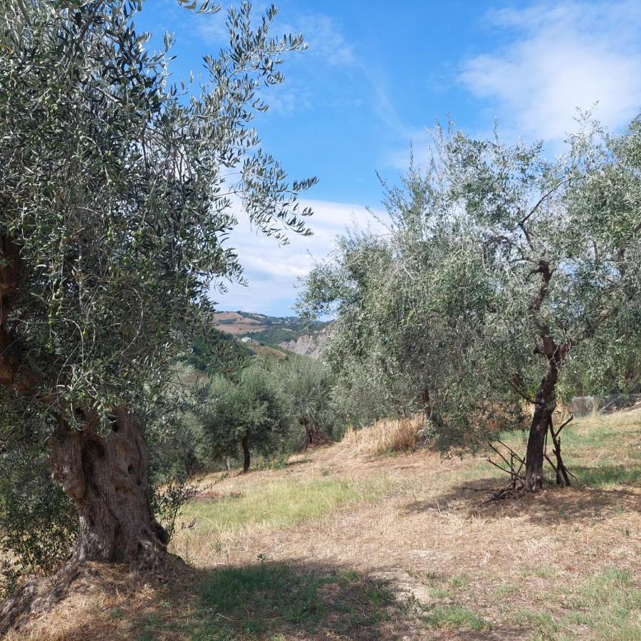 Villa Ferranti Abruzzo Montefino Екстериор снимка